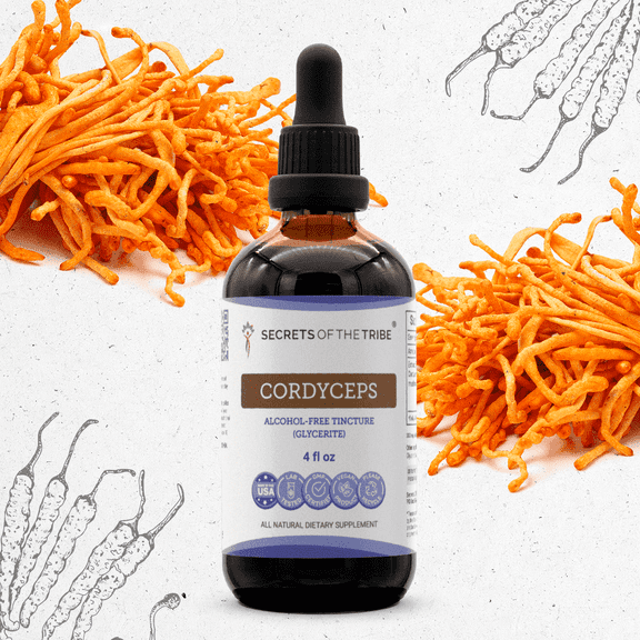 Secrets Of The Tribe Cordyceps Tincture Dietary Supplement, Natural Herbal Extract for Energy and Stamina Support, Cordyceps (Cordyceps militaris) Dried Mushroom, Alcohol-Free Extract, Drops 4 oz