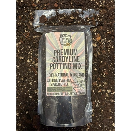 Cordyline Premium Potting Mix