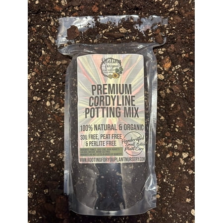 Cordyline Premium Potting Mix