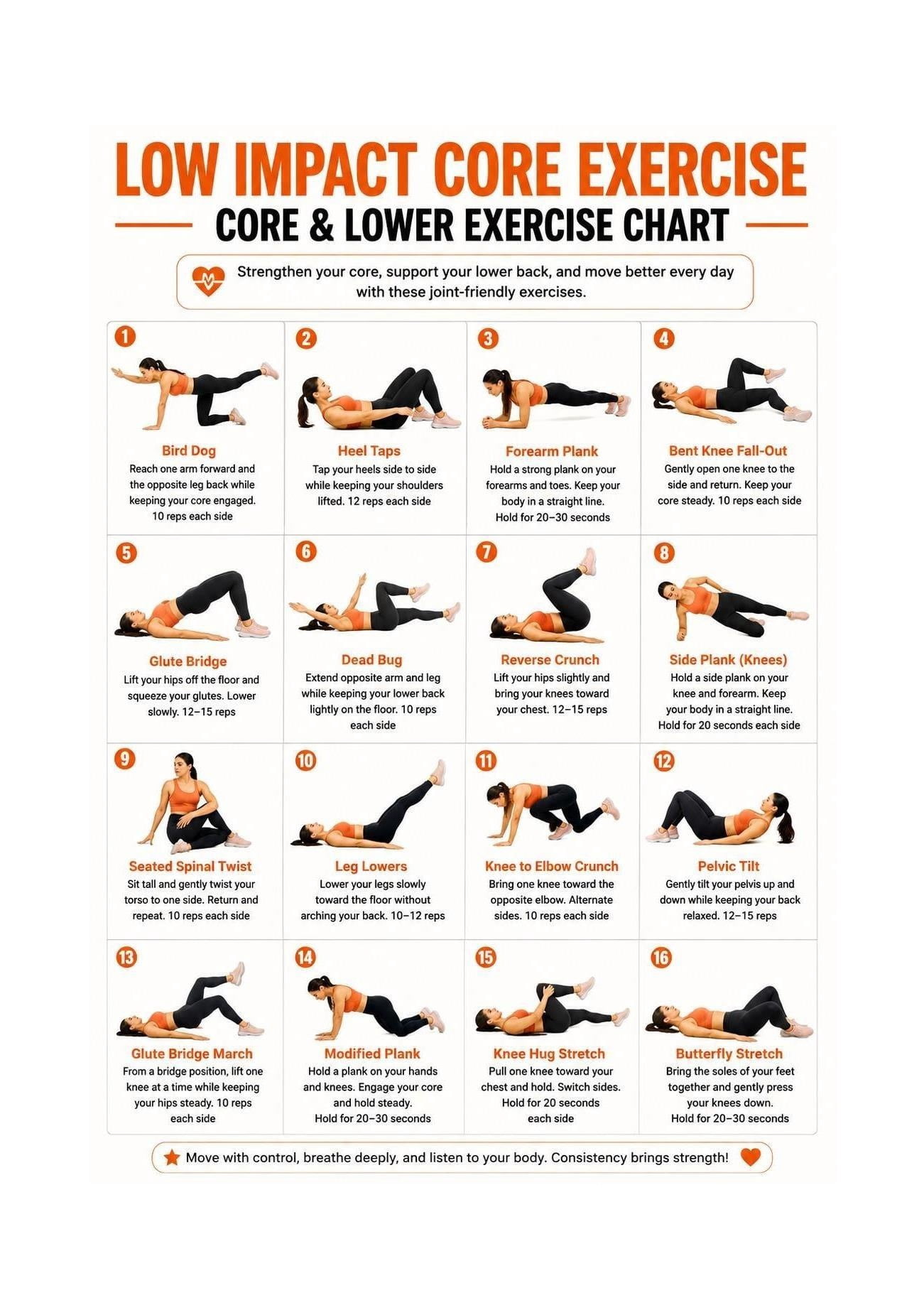 Core Stability Low Impact Back Exercise Home Workout Daily Chart Poster ...