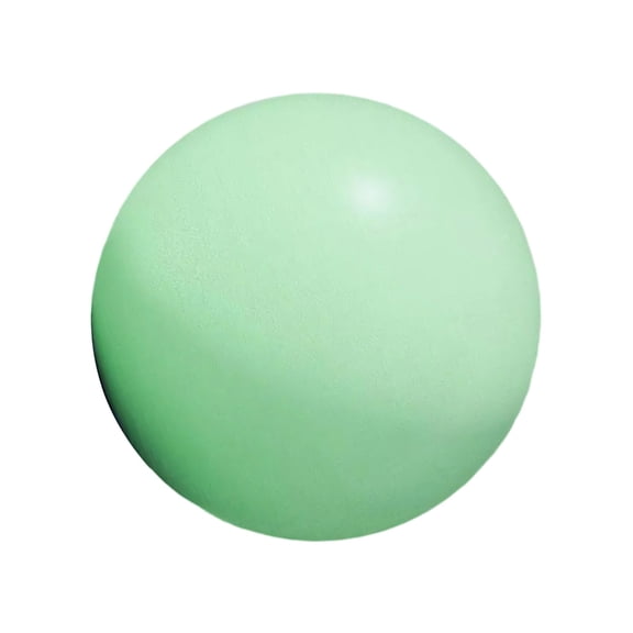 Core Training Ball For Core Strength and Balance Improvement Home Gym Office Use 25cm Diameter Yoga Pilates Fitness Ball