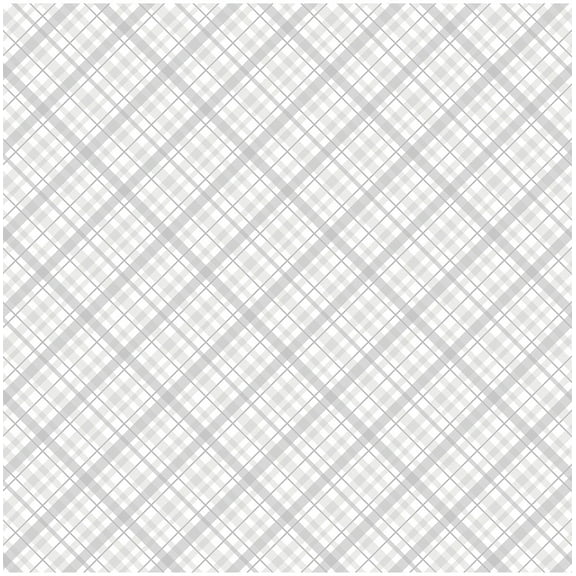 Core'dinations Core Basics Patterned Cardstock 12"X12"-White Plaid