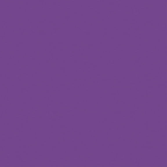 Core'dinations Core Foundations Cardstock 12"X12"-Boysenberry