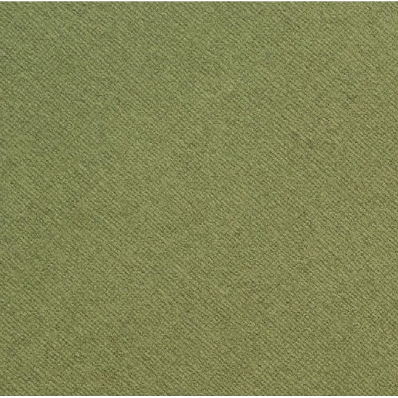 Core'dinations Core Foundations Cardstock 12"X12"-Evergreen