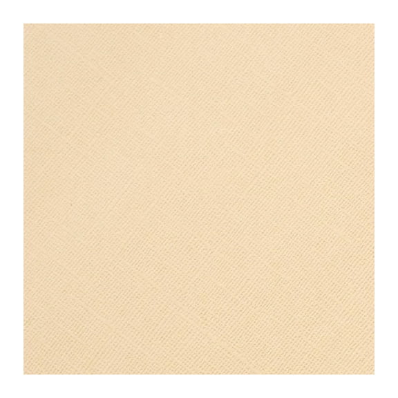 Core'dinations Core Foundations Cardstock 12"X12"-Frappuccino