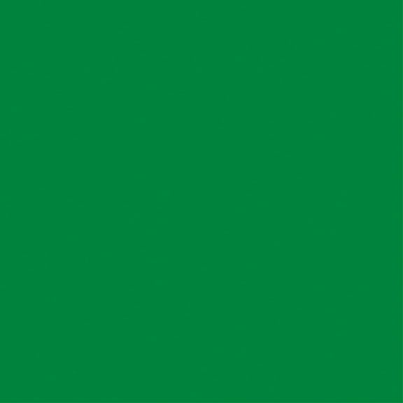Core'dinations Core Foundations Cardstock 12"X12"-Jolly Green