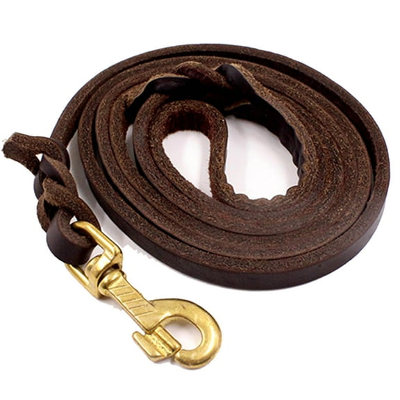 CoreLife Braided Leather Dog Leash for Large Dogs - 9 ft 8 in Long Heavy Duty Walking Training Leash