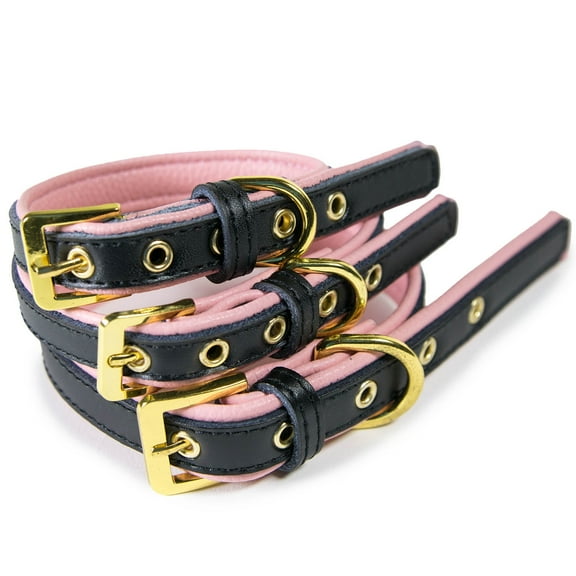 CoreLife Dog Collar / Cat Collar, Padded Black & Pink Two-Toned Vegan Leather Pet Collars for Small and Medium Dogs and Cats