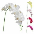thumbnail image 1 of CoreLiving Artificial Orchid Flowers 1-Piece Real Touch White Branch Faux Butterfly Orchid Simulation Plant for Ceremony Party Patio Yard and Restaurant Decor, 1 of 8
