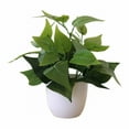 thumbnail image 1 of CoreLiving Artificial Potted Plants, Realistic Small Fake Pothos in Plastic Pot, Faux Indoor Plant for Home Office Bathroom Shelf, Set of 1 Silk Greenery Decor, 1 of 8
