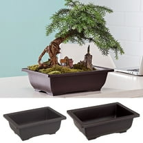 CoreLiving Bonsai Pot with Drainage Mesh - Small Plastic Bonsai Tree Pots for Indoor Plants, Real Bonsai Tree Training Pot with Irrigation Holes, Humidity Tray, Beginner & Home Gardening Kit