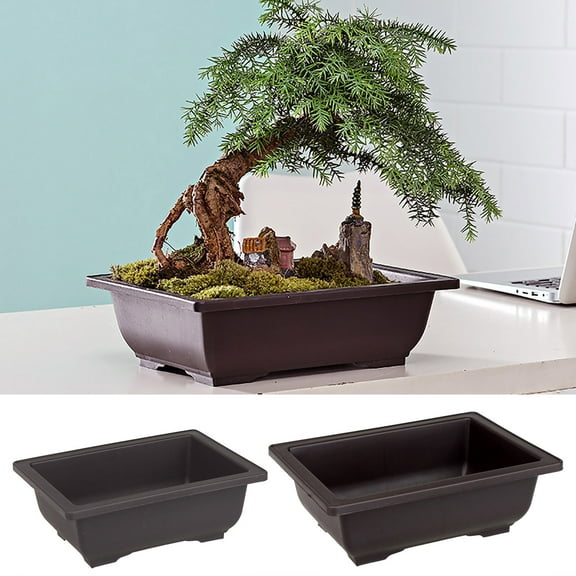 CoreLiving Bonsai Pot with Drainage Mesh - Small Plastic Bonsai Tree Pots for Indoor Plants, Real Bonsai Tree Training Pot with Irrigation Holes, Humidity Tray, Beginner & Home Gardening Kit