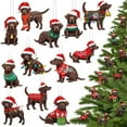 thumbnail image 1 of CoreLiving Chocolate Lab Ornament Christmas Tree Decor Labrador Retriever Gift for Pet Lovers, Personalized Holiday Decorations for Labrador Owners Home Party, 1 of 8