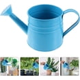 thumbnail image 1 of CoreLiving Metal Watering Can for Indoor Plants and Outdoor Garden, Blue Small Watering Pot with Plant Mister for Flowers Bonsai Herbs, 1 of 9