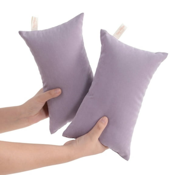 CoreLiving Mini Pillow for Neck & Travel, Tiny Support Pillow for Lumbar Knee Wrist, Soft Microfiber Small Couch & Bed Pillow, Washable for Chair, Car, Airplane & Pet Comfort