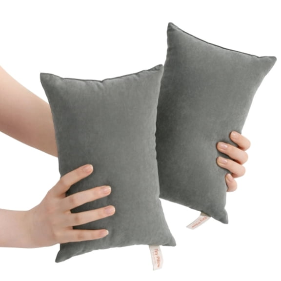 CoreLiving Travel Pillow for Neck, Tiny Small Pillow for Lumbar Knee Support, Microfiber Mini Couch & Hand Pillow, Machine Washable for Recliner Chair, Office, Car, Bed & Pet Use