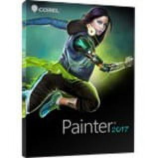 Painter 2017