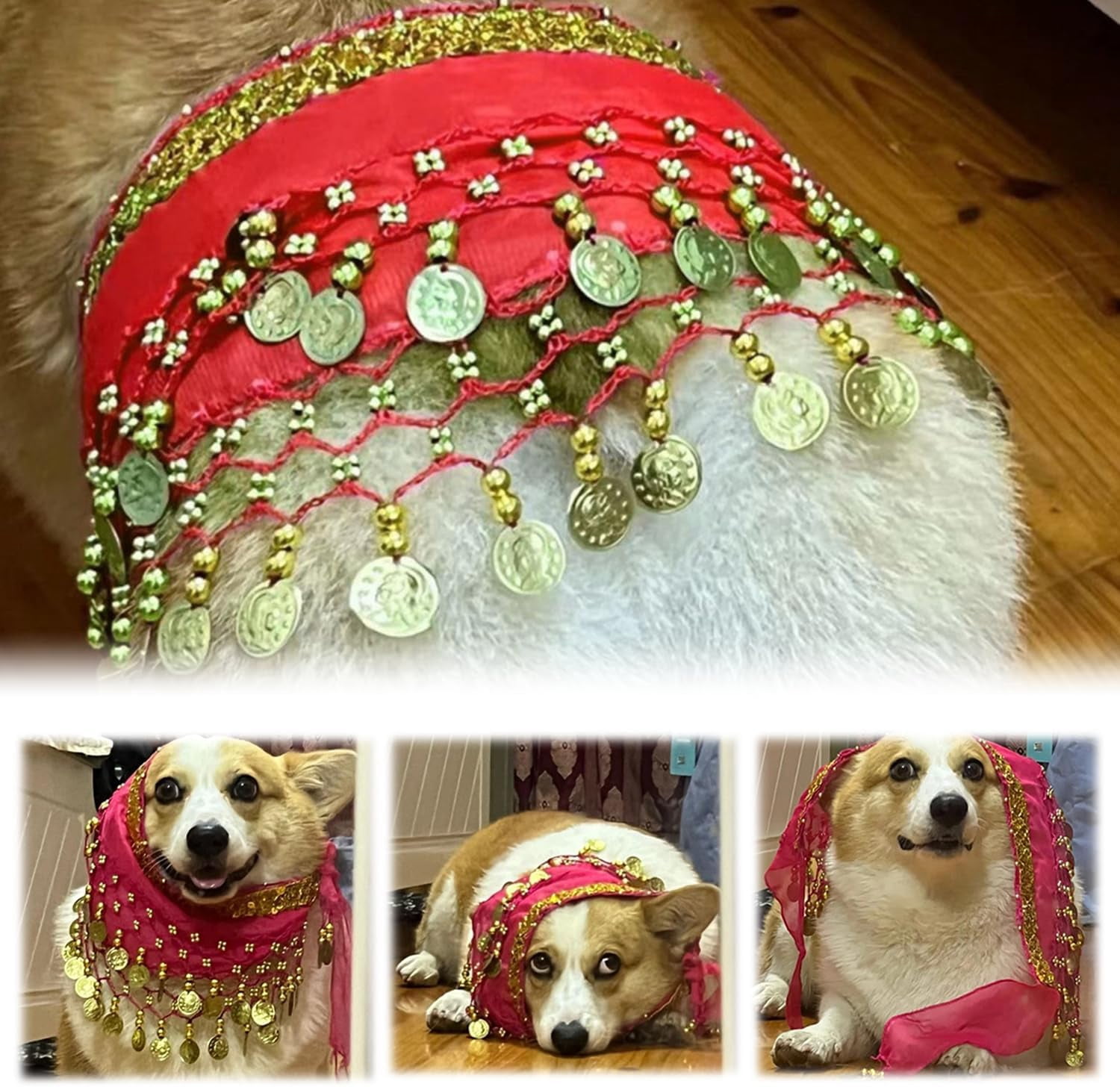 Corgi Dog Costume for Dogs,Belly Dancer Skirt for Dogs,Passionate Puppy ...