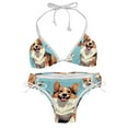 thumbnail image 1 of Corgi Dog Detachable Sponge Adjustable Strap Bikini Set Two-Pack - Ideal for All Seasons, 1 of 6
