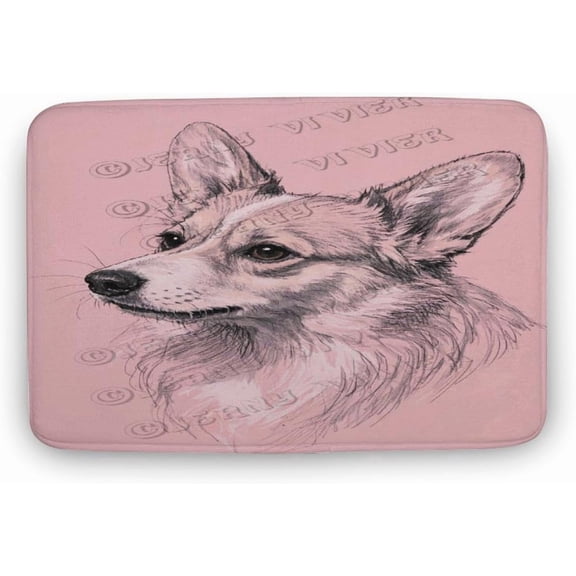 Corgi Portrait Bath Rug/Floor Mat for Home, Soft Plush Microfiber Absorbent Non-Slip Mat, 16 x 24 in