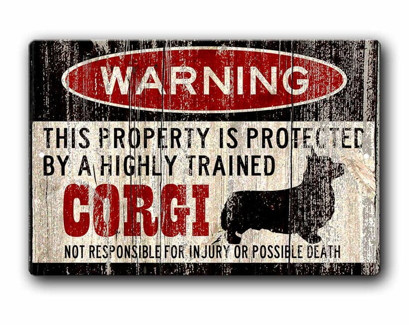 Corgi Sign,Funny Metal Signs,Dog warning Sign,Funny Dog sign,Protected ...