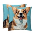 thumbnail image 1 of Corgi Sumptuous Velvet Throw Pillow Covers Set of 2, Decorative Bed Pillow Cases with Unique Patterns for Home Decor, Sizes 16x16, 18x18, 20x20 Inches, 1 of 6