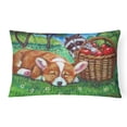 thumbnail image 1 of Corgi with the Racoon Apple Thief Fabric Decorative Pillow, 1 of 3