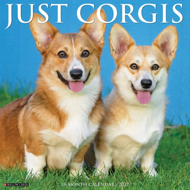 Corgis 2027 12 X 12 Wall Calendar, (Paperback)