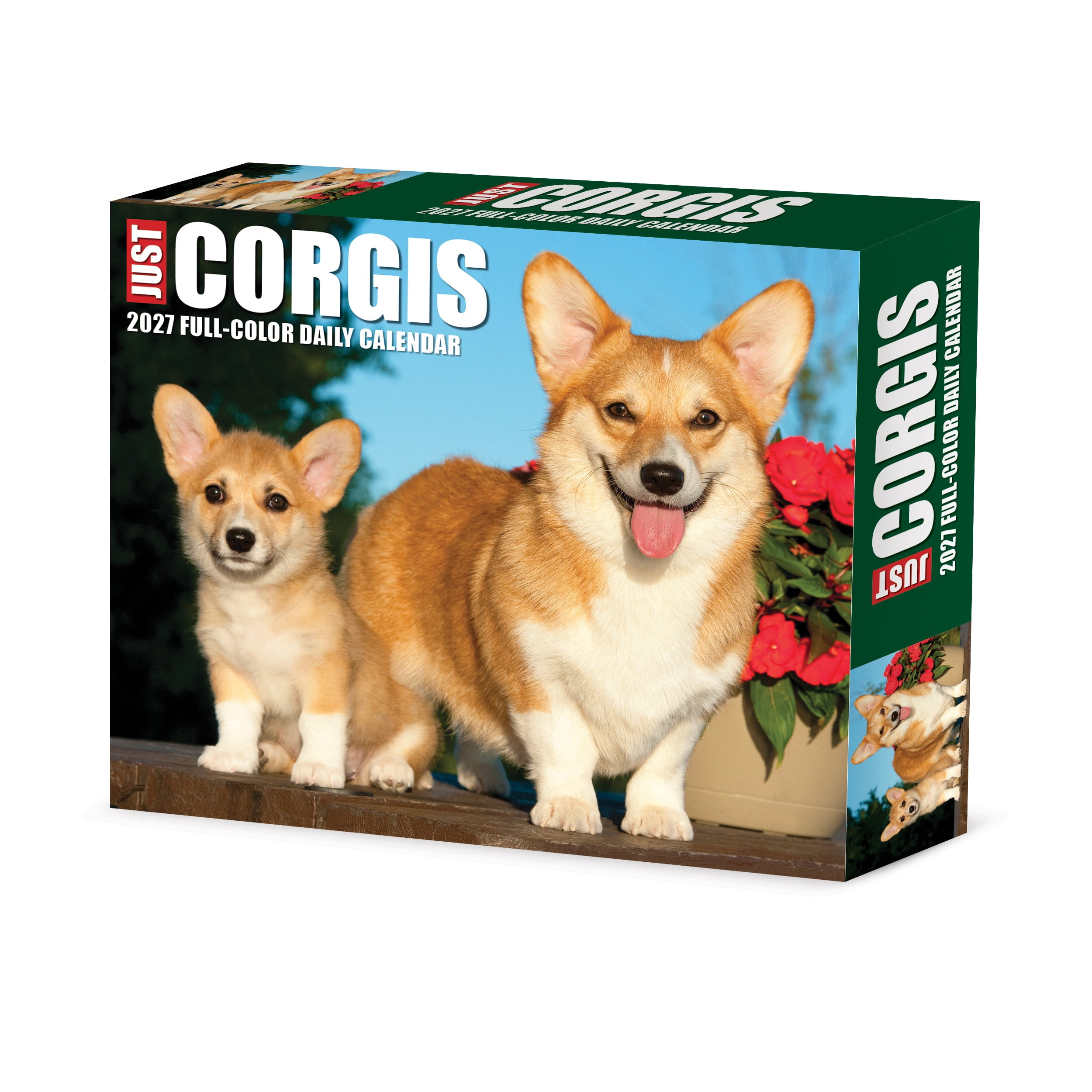 Willow Creek Press, Corgis 2027 Box Calendar