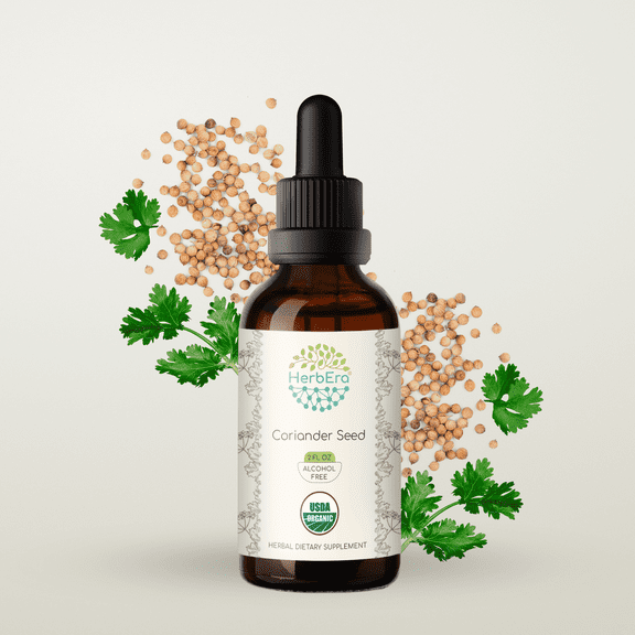 HerbEra Coriander Seed Tincture, Organic Herbal Dietary Supplement for Digestive Support, Certified Organic Coriander (Coriandrum sativum) Dried Seed Extract, Natural, Alcohol-Free, Drops 2 oz
