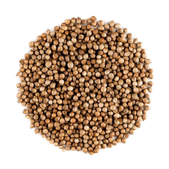 Coriander Seed Organic Gourmet Quality - Cilantro Seeds For Elevating Dishes 700g