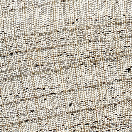 Cork, Sec., 20 Microscope Slide