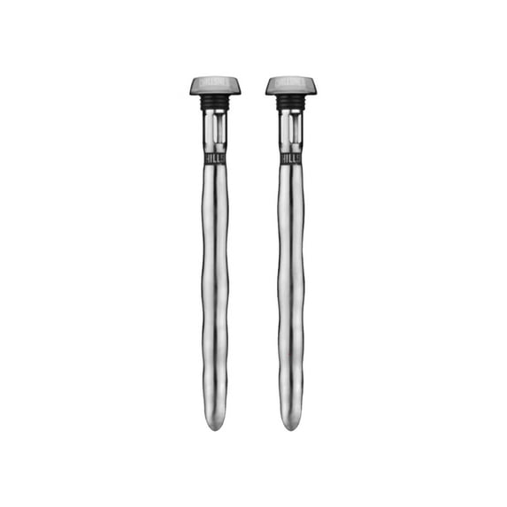 Corkcicle Chillsner Portable Stainless Steel In Bottle Beer Chiller, 2 Pack