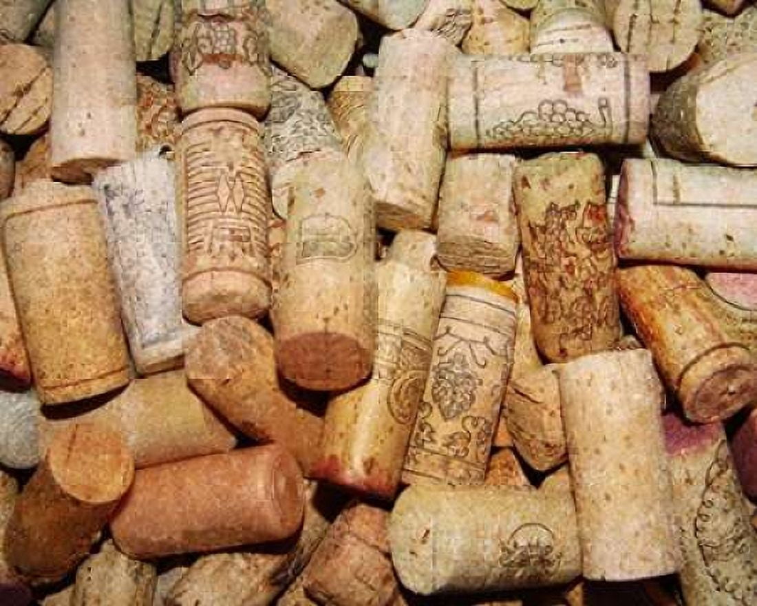 Corks II Canvas Art - Heather A French-Roussia (20 x 24)