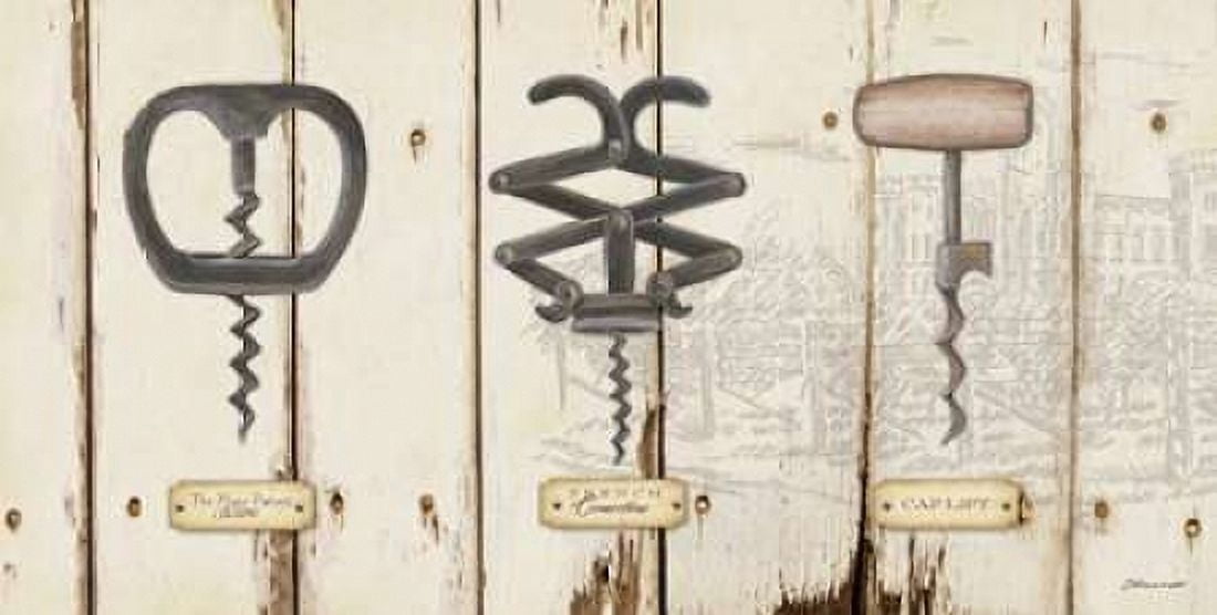 Corkscrews I Canvas Art - Stephanie Marrott (10 x 20)