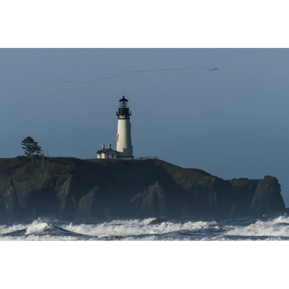 Cormorants (Phalacrocoracidae) Fly Over Yaquina Head Lighthouse On The Oregon Coast; Newport, Oregon, United States Of America by Robert L. Potts / Design Pics (17 x 11)