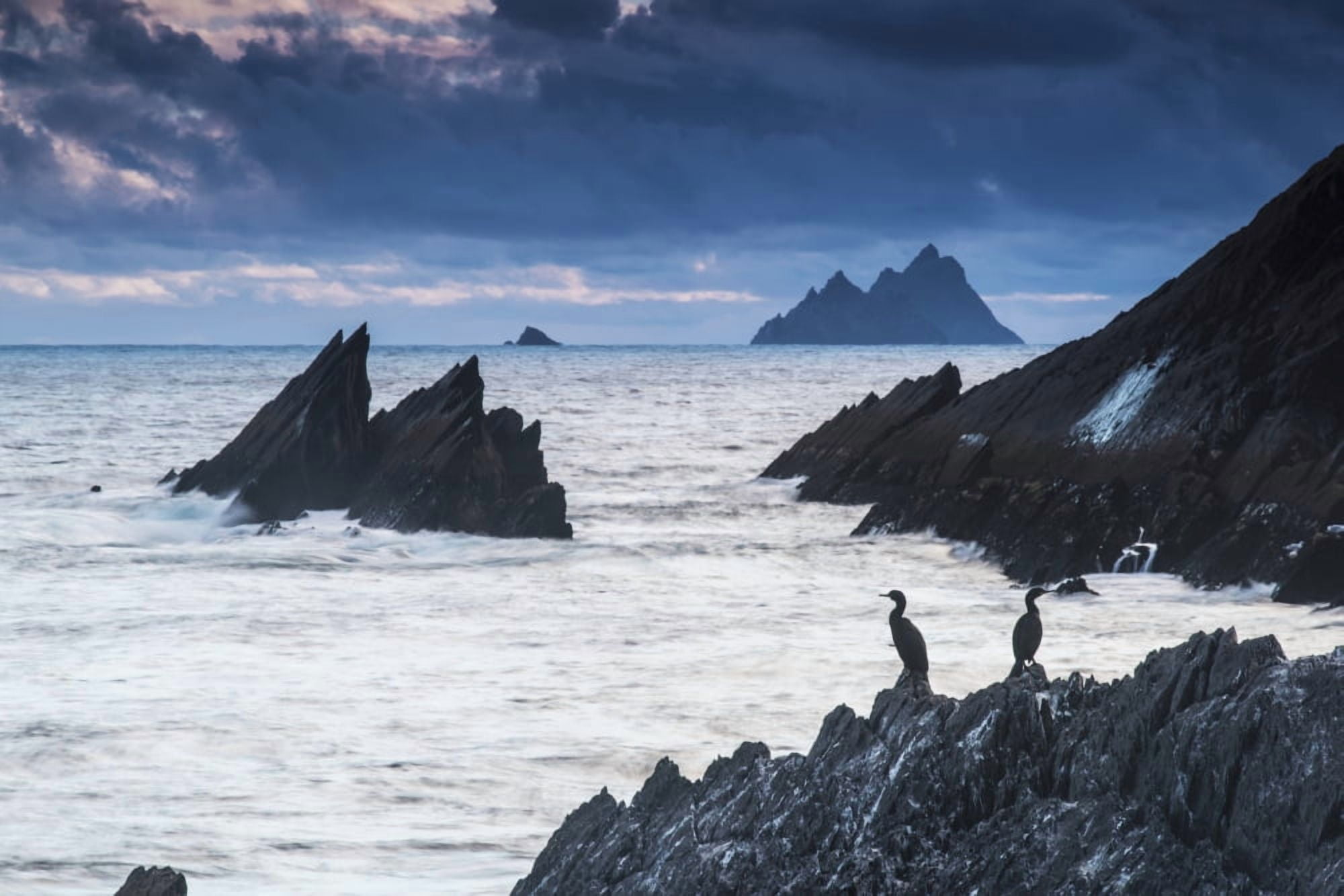 Cormorants on the rocksIveragh peninsula county kerry ireland Canvas Art - James Sparshatt Design Pics (36 x 24)