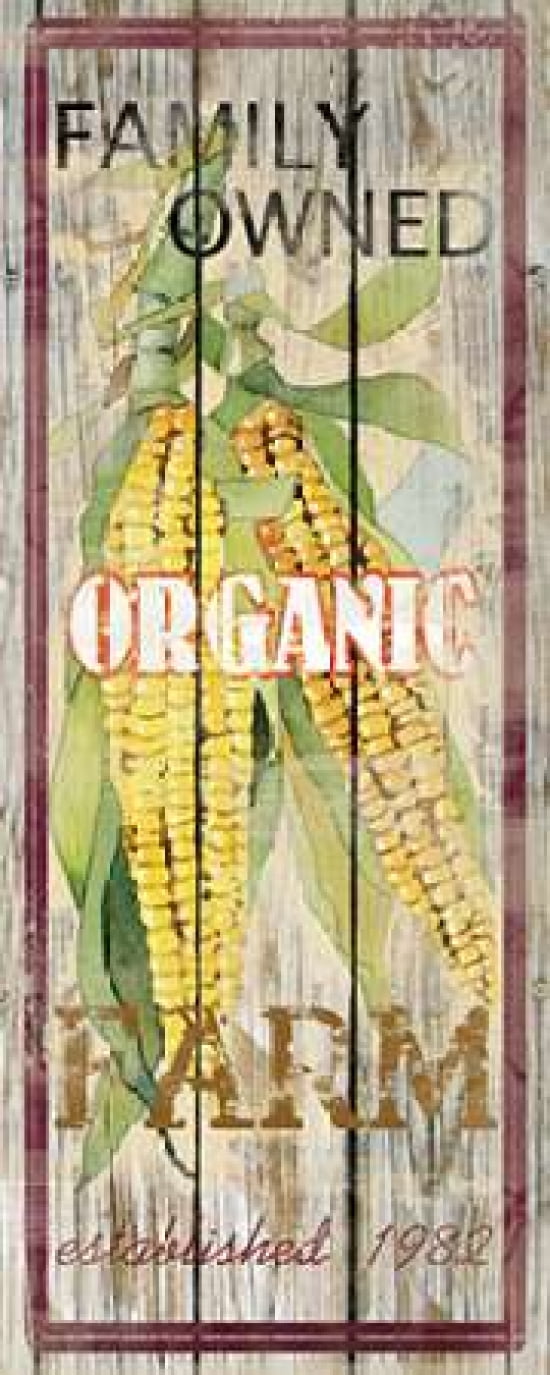 Corn Canvas Art - Carol Robinson (10 x 20)