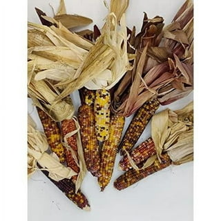 25 count bag Dried Corn Husk Wrappers- Used for Tamales or steaming other  foods- Also great for crafts- Country Creek LLC.