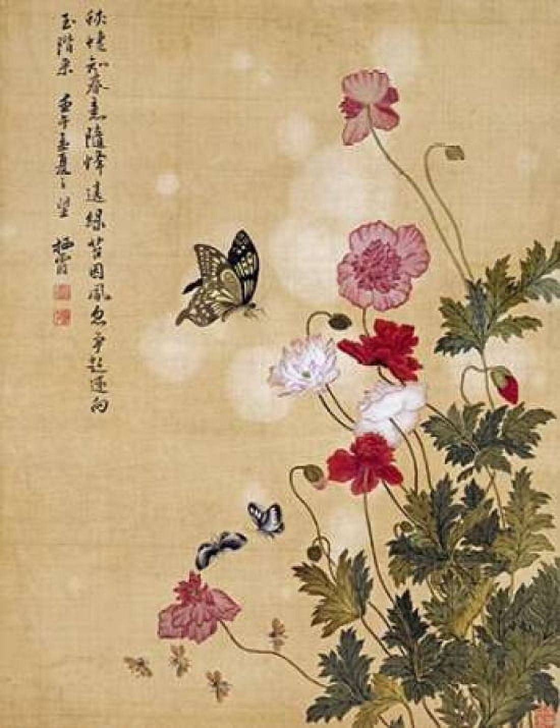 Corn Poppy and Butterflies Canvas Art - Ma Yuanyu (22 x 28)