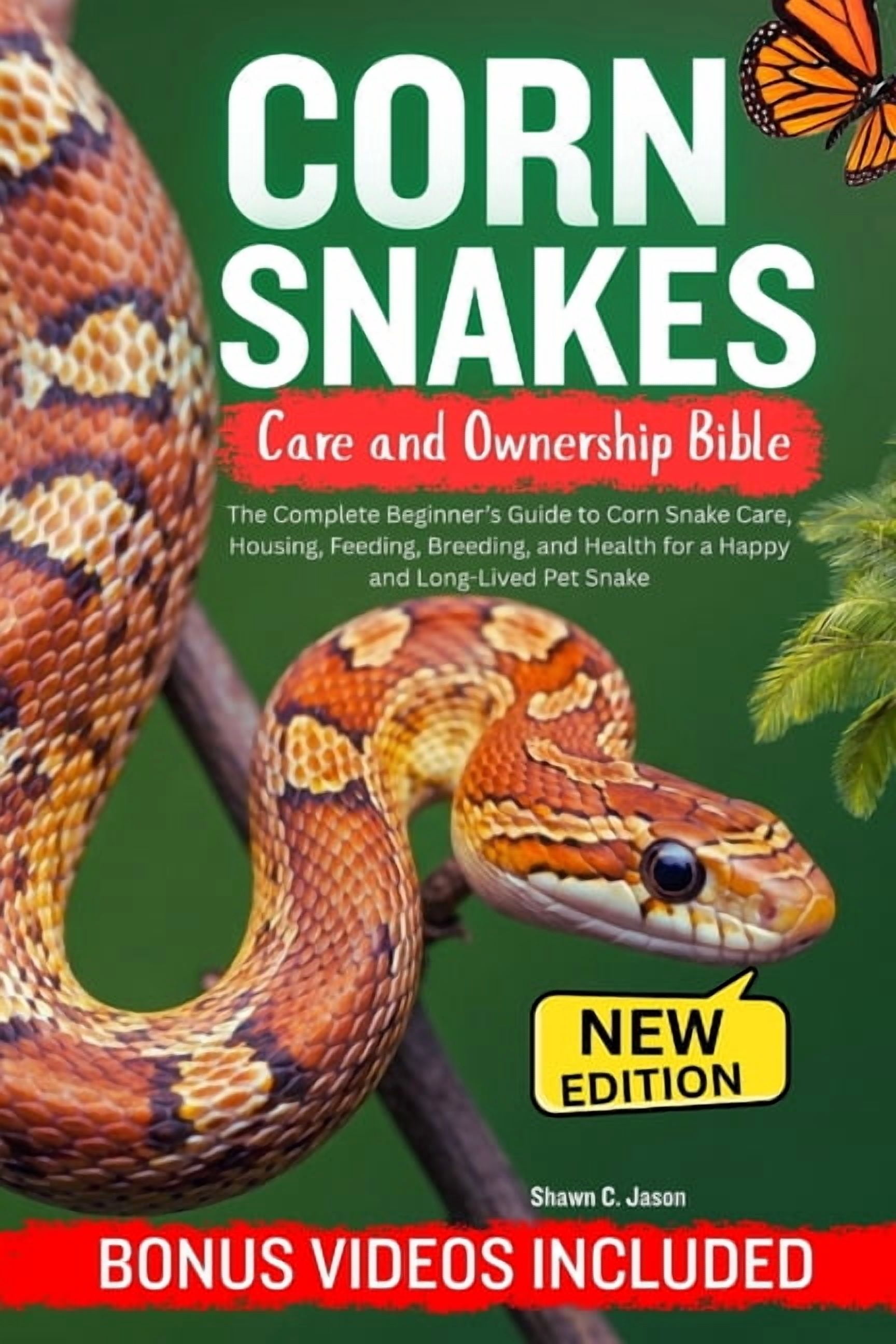 Picture Idea: Caring For Snakes A Beginner S Guide For New Snake