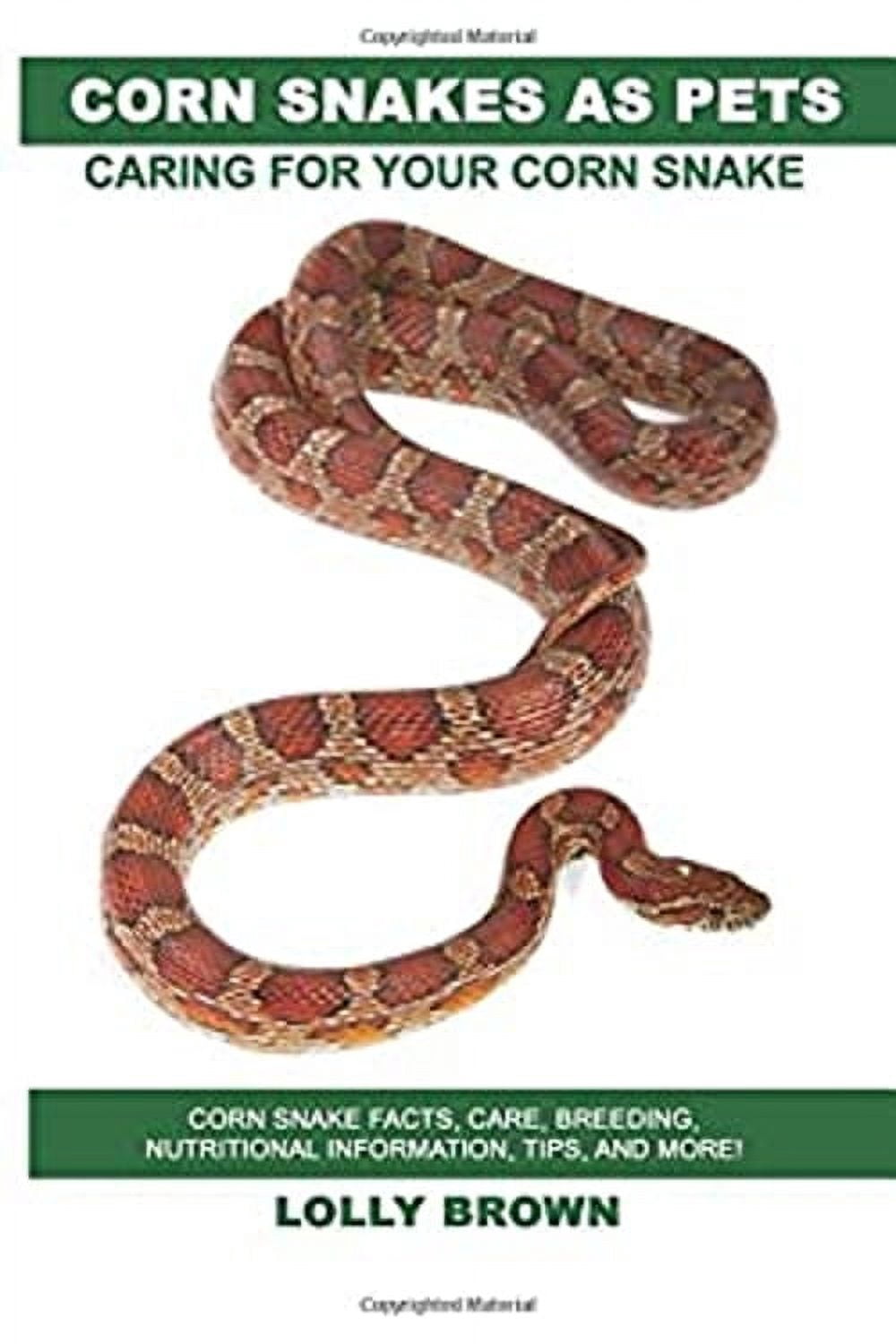 Snake Breeding Business Tips And Advice Reference: Pre Owned Corn Snakes As Pets Corn Snake Facts Care