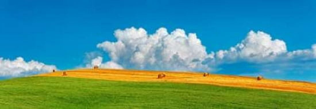 Corn field harvested Tuscany Italy Canvas Art - Frank Krahmer (10 x 20)