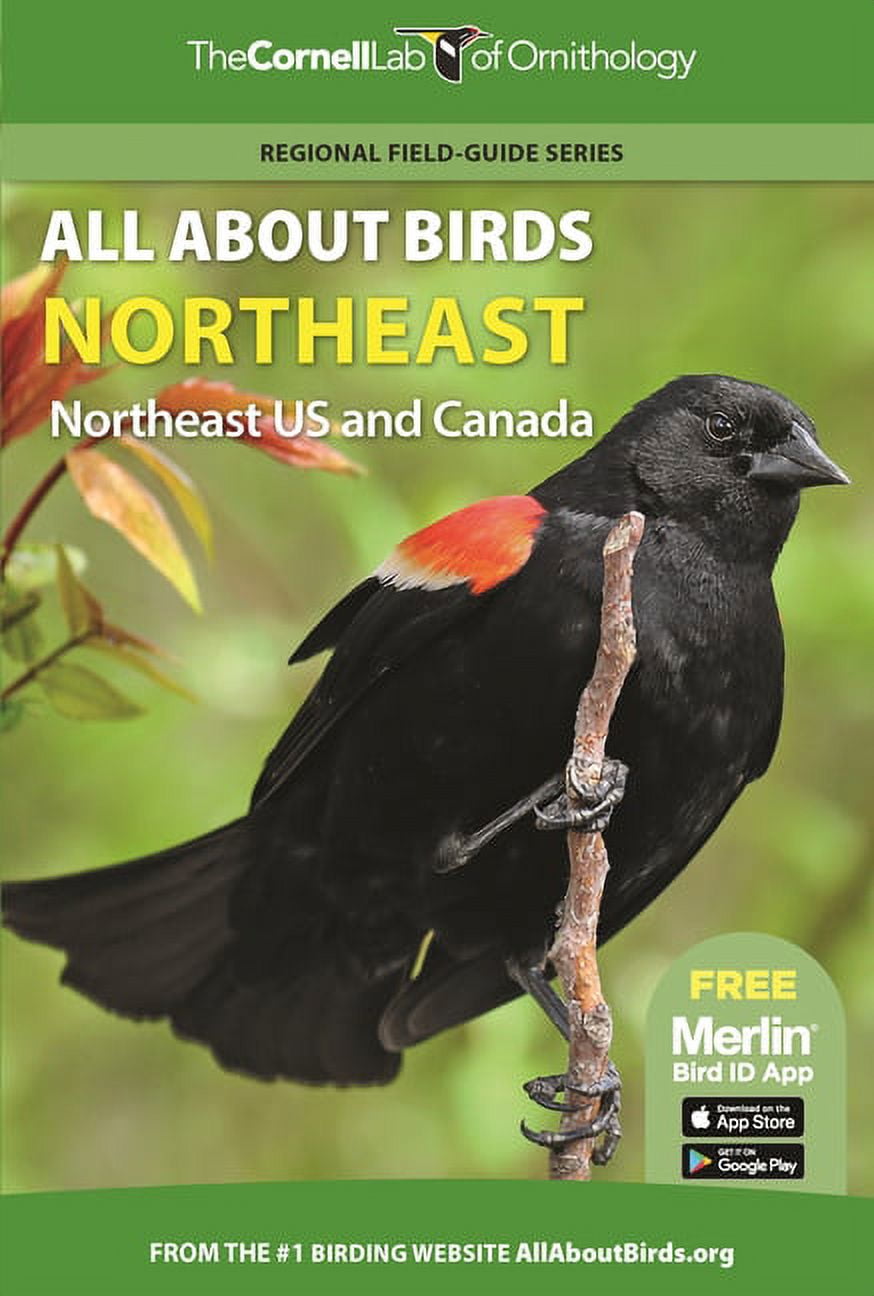Cornell Lab of Ornithology All about Birds Northeast