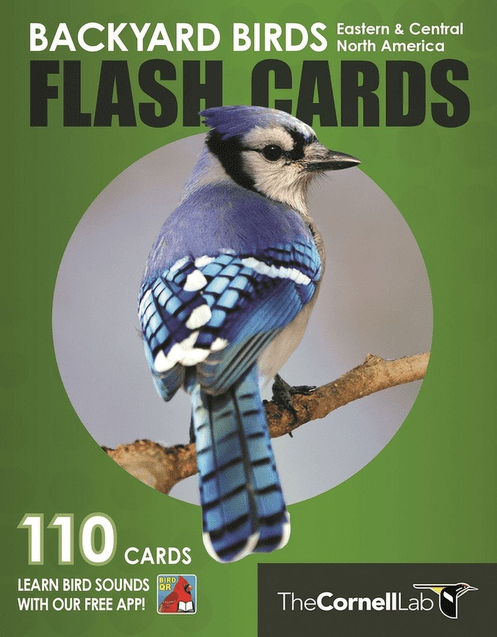 Eastern & Central North America Bird Identification Flash Cards