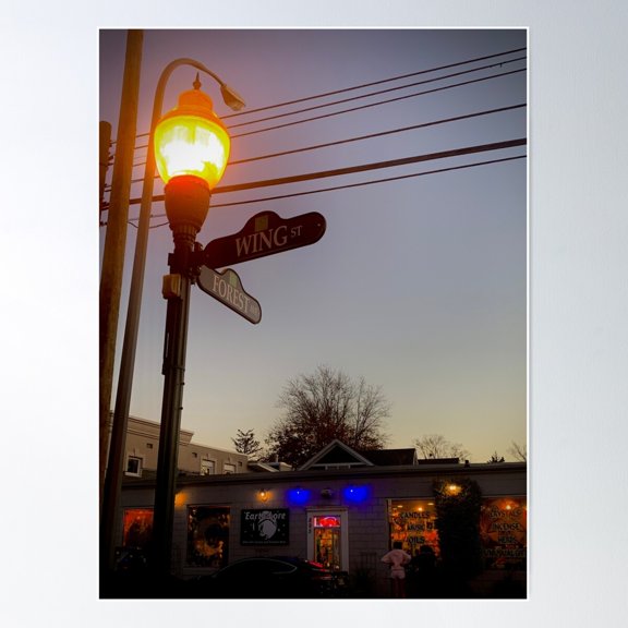 Corner Of Wing And Forest Poster Wall Art, Modern Wall Decor For Living Room Bedroom, 24x36 UNFRAMED