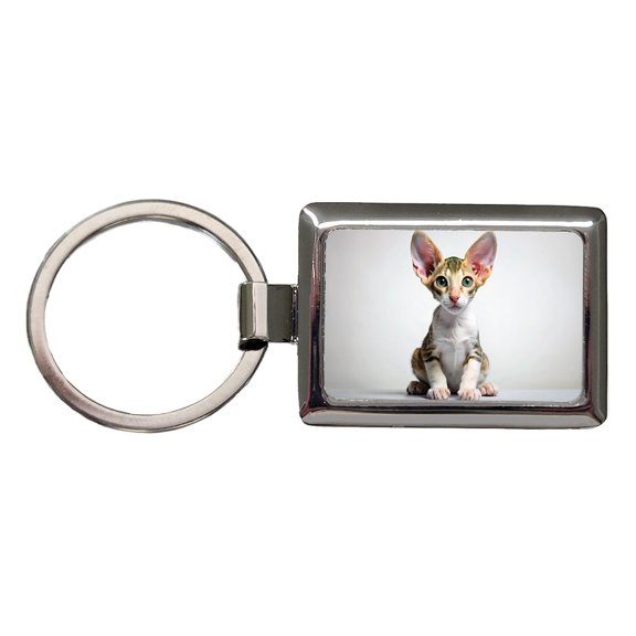 Cornish Rex Cat Kitten Photo Metal Rectangle Keychain