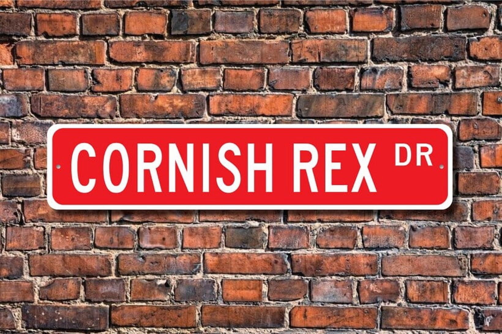Cornish Rex Cornish Rex Lover Cornish Rex Sign Cornish Rex Owner Gift ...