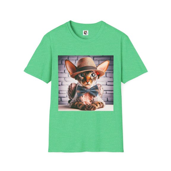 Cornish Rex Domestic Cat