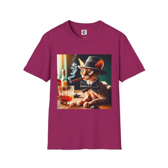 Cornish Rex Domestic Cat